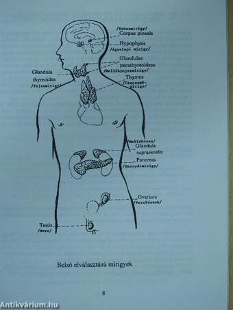 Kiegészítő útmutató a Bioptron fény és színterápia használatához