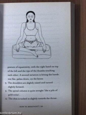 The Art of Meditation