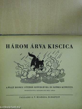 Három árva kiscica (rossz állapotú)