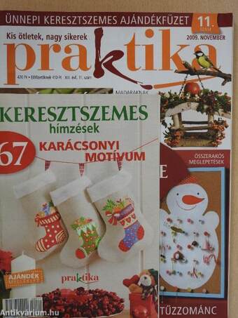 Praktika 2009. november