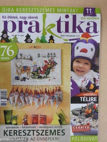 Praktika 2010. november