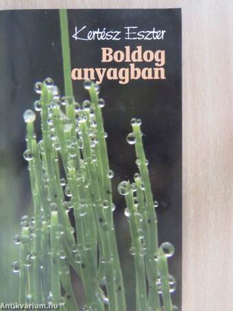 Boldog anyagban