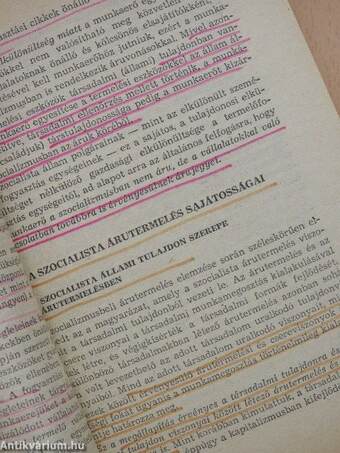 A szocializmus politikai gazdaságtana 1984/1985