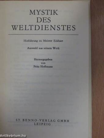 Mystik des Weltdienstes