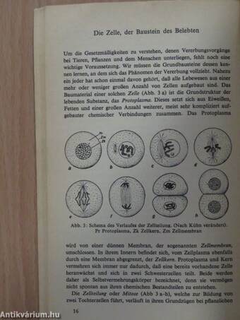 Grundlagen der Vererbungslehre