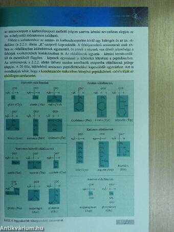 Kiegészítő fejezetek a biológia érettségihez