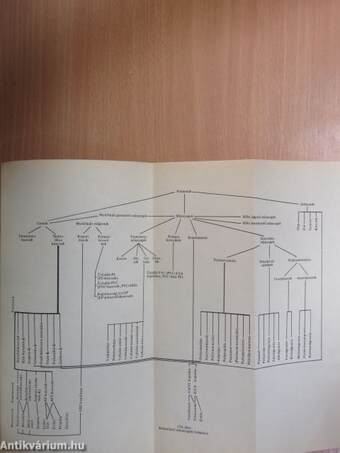 Technológia, anyagok a termelésben