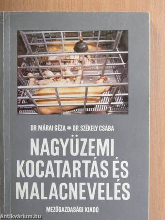 Nagyüzemi kocatartás és malacnevelés