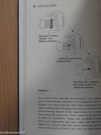 Kinds of minds