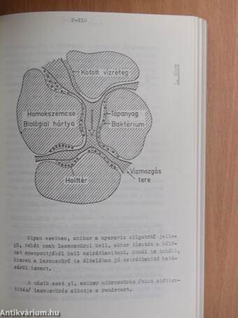 Felszini viz korszerü tisztitása II.