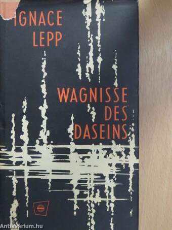 Wagnisse des Daseins