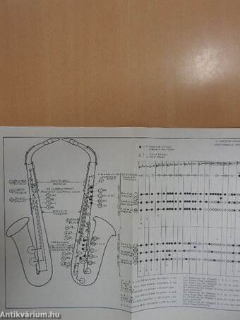 Szaxofoniskola/Saxophonschule