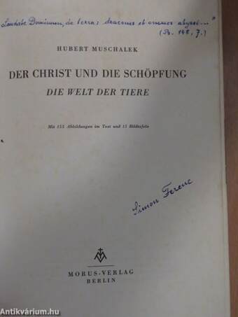 Der Christ und die Schöpfung