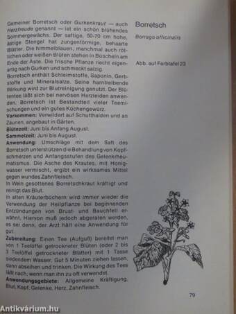 Grosses Kräuter- und Gewürzbuch