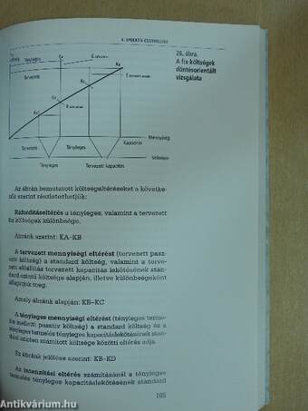 Controlling a hazai szervezetek gazdálkodási gyakorlatában