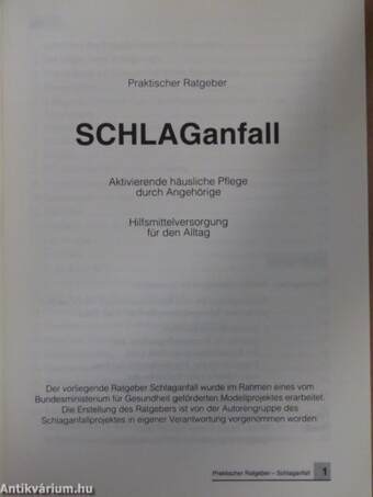 SCHLAGanfall