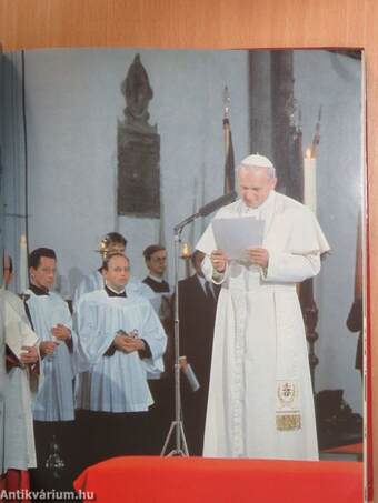 Der Papst in Deutschland