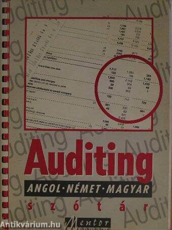 Auditing szótár