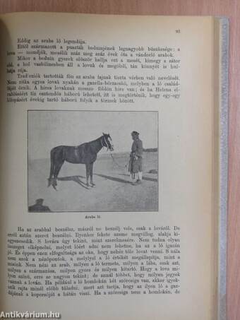 A Fehér Kereszt Országos Lelenczház Egyesület Naptára az 1905-ik évre