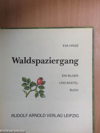 Waldspaziergang