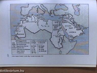 Az arab országok története a XIX-XX. században (dedikált példány)