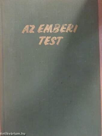 Az emberi test 2. (töredék)