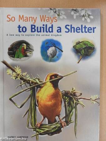 So Many Ways to Build a Shelter