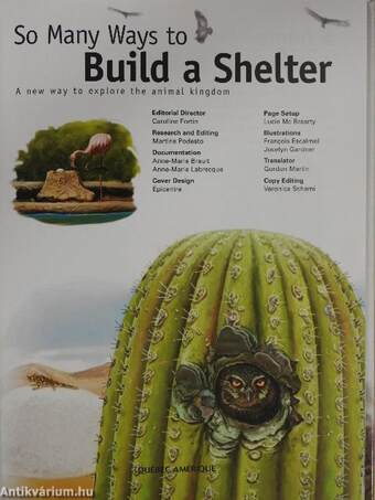 So Many Ways to Build a Shelter