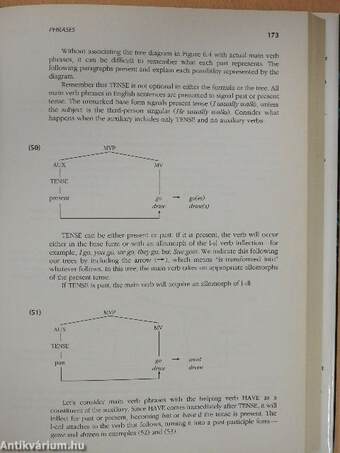 Analyzing English Grammar