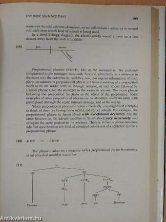 Analyzing English Grammar