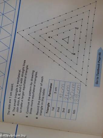 Primary Mathematics 3. - Workbook