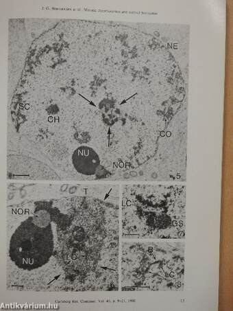 Carlsberg Research Communications 1/1980.