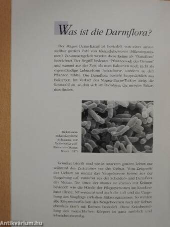 Darmflora und chronisch entzündliche Darmerkrankungen