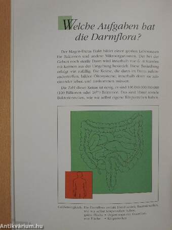 Darmflora und chronisch entzündliche Darmerkrankungen