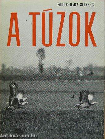 A túzok