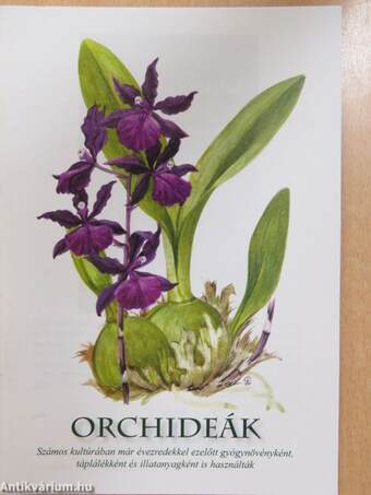 Orchideák