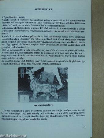 Angol vizsla retriever évkönyv 1992 (dedikált példány)