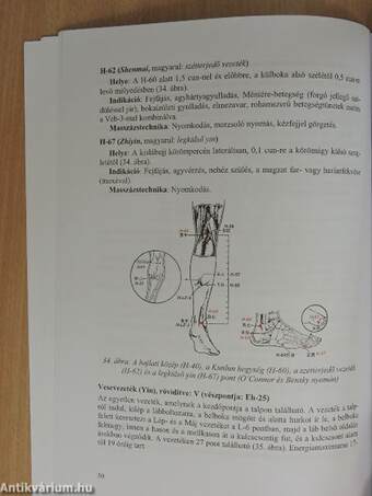 A test- és fülakupresszúra tankönyve