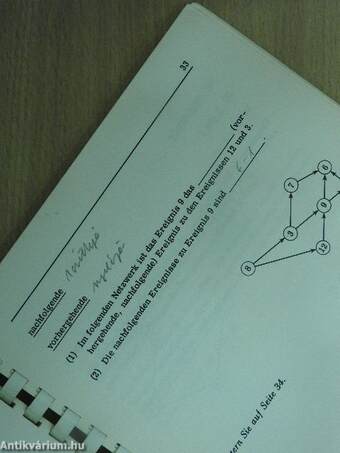 Programmierte Einführung in PERT