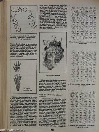 Természet Világa 1972. január-december