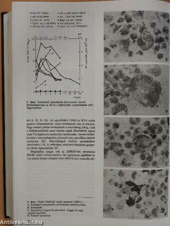 Orvosi hetilap 1993. január-december I-II.