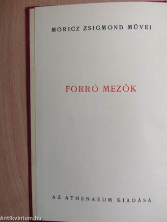 Forró mezők