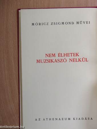 Nem élhetek muzsikaszó nélkül