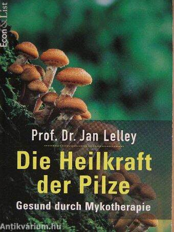 Die Heilkraft der Pilze