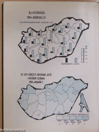 Magyar statisztikai zsebkönyv 1965.