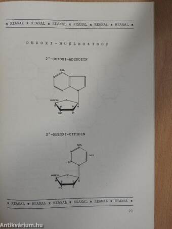 Nucleotidok és származékaik