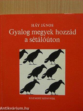 Gyalog megyek hozzád a sétálóúton