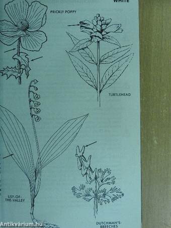 A Field Guide to Medicinal Plants