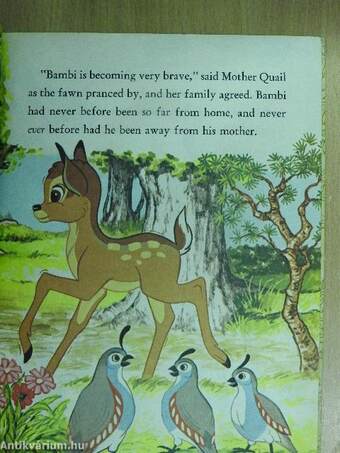 Bambi - Friends of the Forest