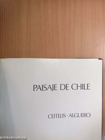 Paisaje de Chile